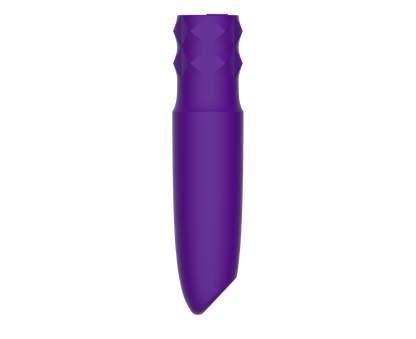 Pulse Mini Bullet