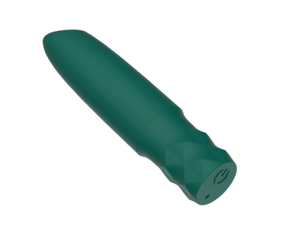 Pulse Mini Bullet
