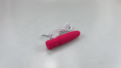 Pulse Mini Bullet